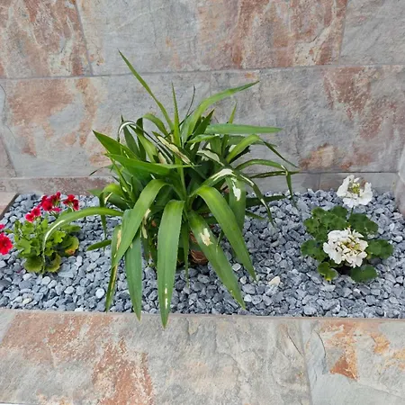 Casa Femes Piscina Climatizada Feriehus Playa Blanca (Lanzarote)