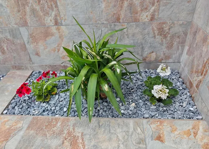 Casa Femes Piscina Climatizada בית נופש פלאיה בלנקה